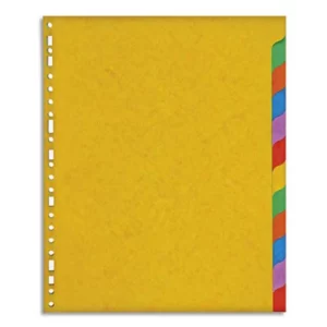 Intercalaire exacompta carte marbrée recyclée 220g 12 positions xxl coloris vifs.