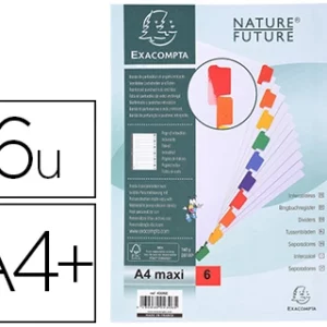 Intercalaire exacompta carte blanche 160g 6 positions a4+ onglets couleur renforcés.